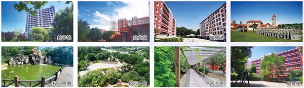 为什么智能指导能帮助提高篮球技能_2