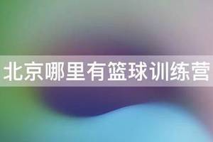北京大兴巅峰篮球训练营